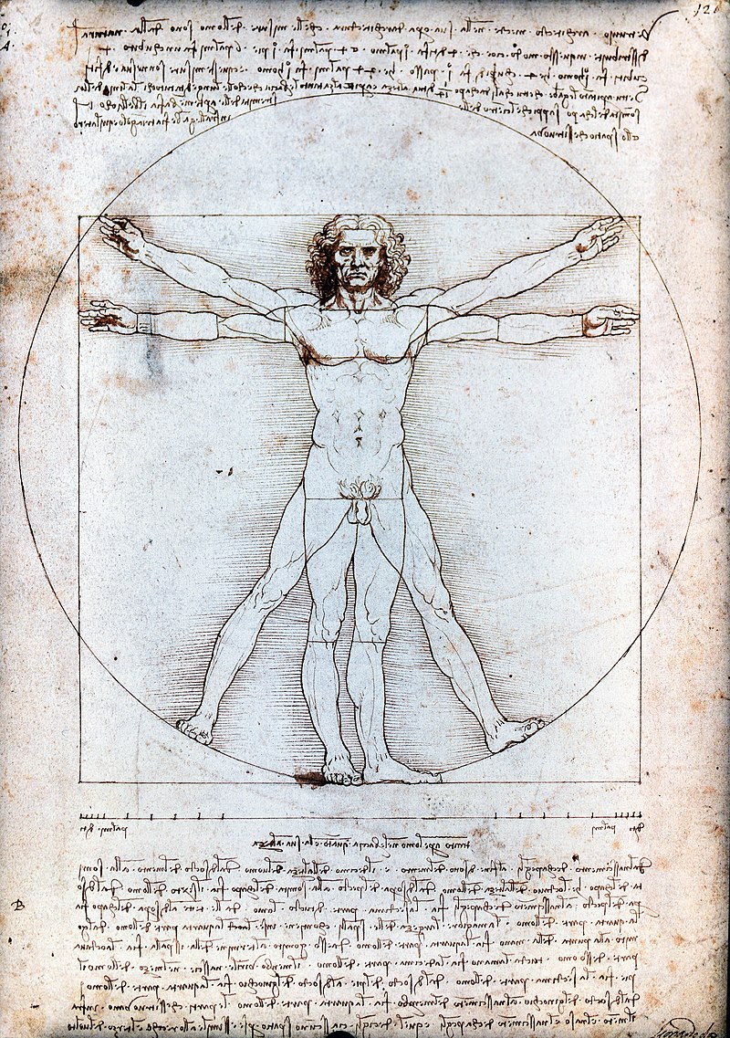 EL HOMBRE DE VITRUVIO VITRUVIO ARTE LA ESENCIA DEL ARTE EL HOMBRE DE VITRUVIO VITRUVIO ARTE LA ESENCIA DEL ARTE
